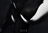 Blackfish (2013) DVD Releases