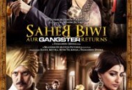 Saheb Biwi Aur Gangster Returns (2013) DVD Releases