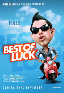 Best Of Luck (2013) DVD Releases