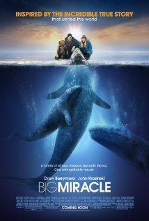  Big Miracle (2012) DVD Releases