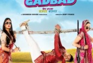 Fer Mamla Gadbad Gadbad (2013) DVD Releases