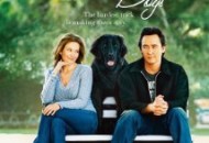Must Love Dogs (2005) DVD Releases