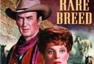 The Rare Breed (1966) DVD Releases