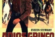 Adiós gringo (1965) DVD Releases