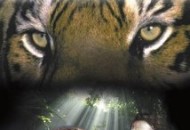 Jungle Book (1942) DVD Releases