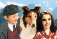 Lassie Come Home (1943) DVD Releases