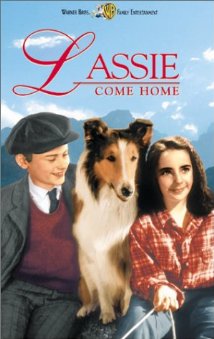  Lassie Come Home (1943) DVD Releases