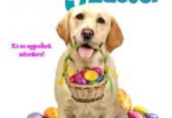The Dog Who Saved Easter (2014) DVD Releases